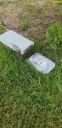 20190718_095649.jpg
