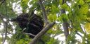 20190723_140114.jpg