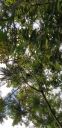 20190723_140132.jpg