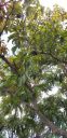 20190723_140146.jpg