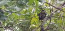 20190723_140151.jpg