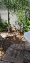 20190726_133311.jpg