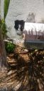 Filename=20190731_143228.jpg
Filesize=1559KiB
Dimensions=1960x4032
Date added=Jul 31, 2019 20190731_143228.jpg