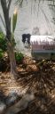 Filename=20190731_143255.jpg
Filesize=1742KiB
Dimensions=1960x4032
Date added=Jul 31, 2019 20190731_143255.jpg