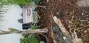 Filename=20190807_083543.jpg
Filesize=3916KiB
Dimensions=4032x1960
Date added=Aug 13, 2019 20190807_083543.jpg