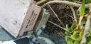 Filename=20190807_083552.jpg
Filesize=2487KiB
Dimensions=4032x1960
Date added=Aug 13, 2019 20190807_083552.jpg