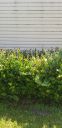 20190828_115524.jpg