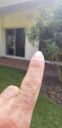 20190910_171146.jpg