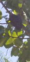 20190917_145249.jpg