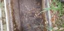 Filename=20190919_140339.jpg
Filesize=1423KiB
Dimensions=4032x1960
Date added=Sep 28, 2019 20190919_140339.jpg