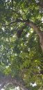 20190923_150918.jpg