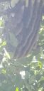 20190923_150921.jpg