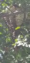 20190923_150944.jpg