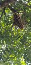 20190923_150959.jpg