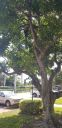 20190923_151155.jpg