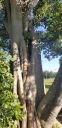20190924_093534.jpg