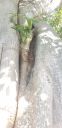 20190924_093627.jpg