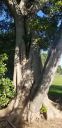 20190924_093817.jpg