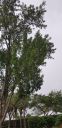 20191009_162948.jpg