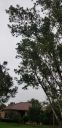 20191009_162950.jpg