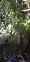20191028_150056.jpg