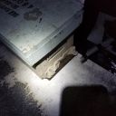 Filename=20191209_180831.jpg
Filesize=2987KiB
Dimensions=3024x3024
Date added=Dec 20, 2019 20191209_180831.jpg