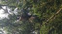 2020-06-09_18_00_14.jpg