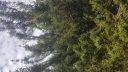 2020-06-09_18_00_18.jpg