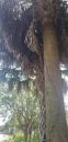 20200313_131128.jpg