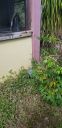20200317_160354.jpg