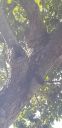 20200319_102105.jpg