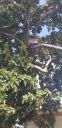 20200319_105618.jpg
