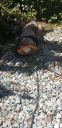 Filename=20200319_122229.jpg
Filesize=2372KiB
Dimensions=1960x4032
Date added=Mar 23, 2020 20200319_122229.jpg