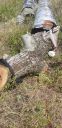 Filename=20200319_141002.jpg
Filesize=4491KiB
Dimensions=1960x4032
Date added=Mar 23, 2020 20200319_141002.jpg
