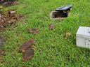 20200430_093314.jpg