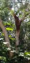 20200505_133957.jpg
