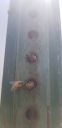 20200508_121707.jpg