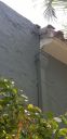 20200511_114746.jpg