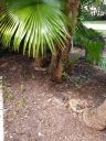 20200611_150200.jpg