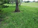 20200620_144418.jpg