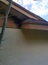 20200720_183801.jpg