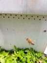 20200806_130042.jpg