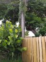 20200820_144246.jpg