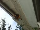 Photo_Jul_192C_6_03_16_PM.jpg