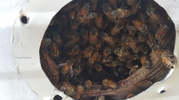 2016-09-09_08_07_04~0.jpg