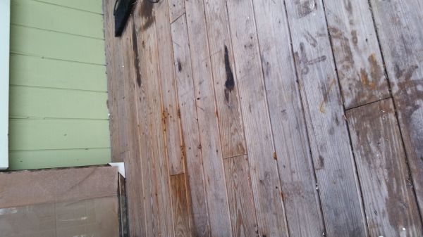 20160824_072350.jpg
