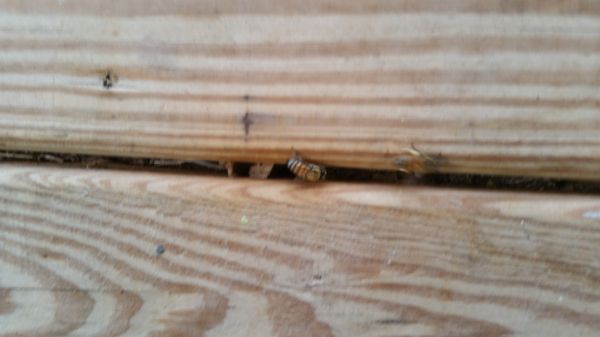 20160824_072555.jpg
