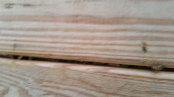 20160824_072557.jpg