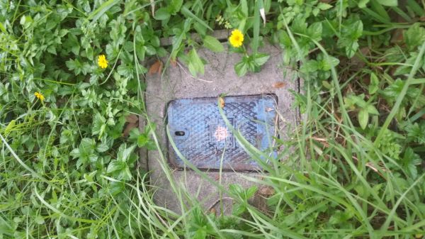 20160824_191540.jpg