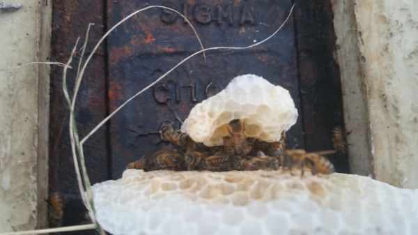 20160824_192756.jpg